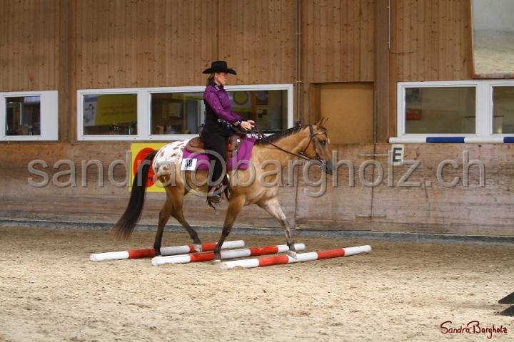 26-ApHC GT_012.jpg